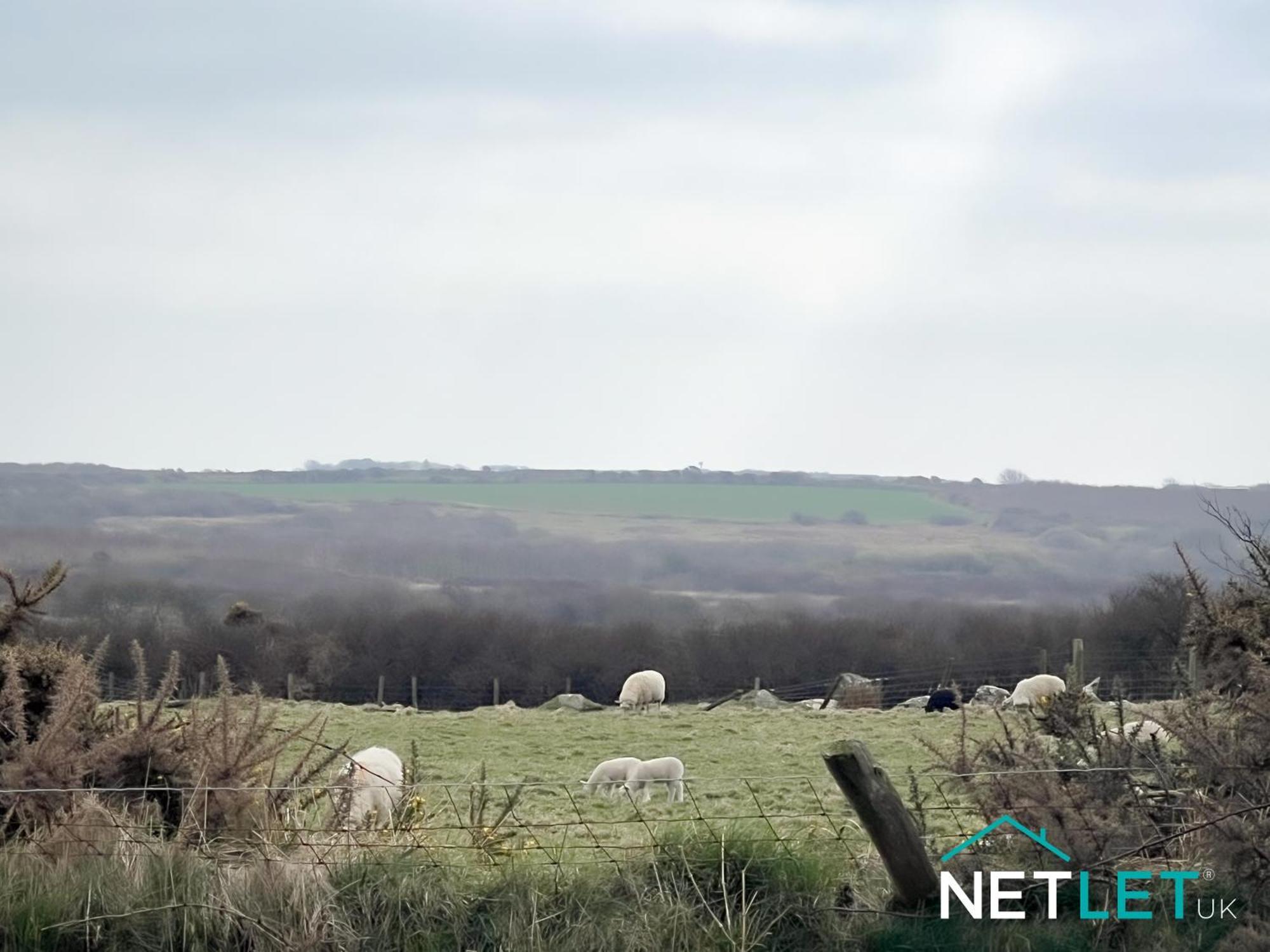 Ty Helygen - A Beautiful Rural Cottage In St Davids エクステリア 写真